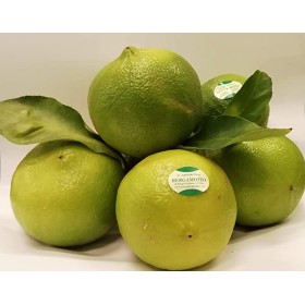 BERGAMOTTO SFUSO FRESCO